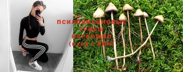 первитин Армянск