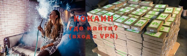 молекула духа Снежногорск