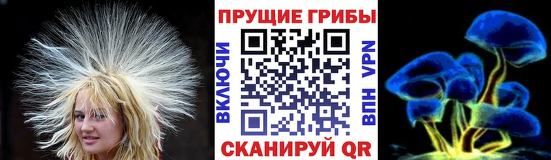 Галлюциногенные грибы MAGIC MUSHROOMS  Омутнинск 